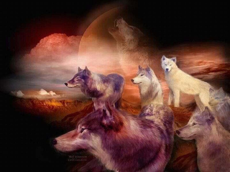 Wolves on a Mountain