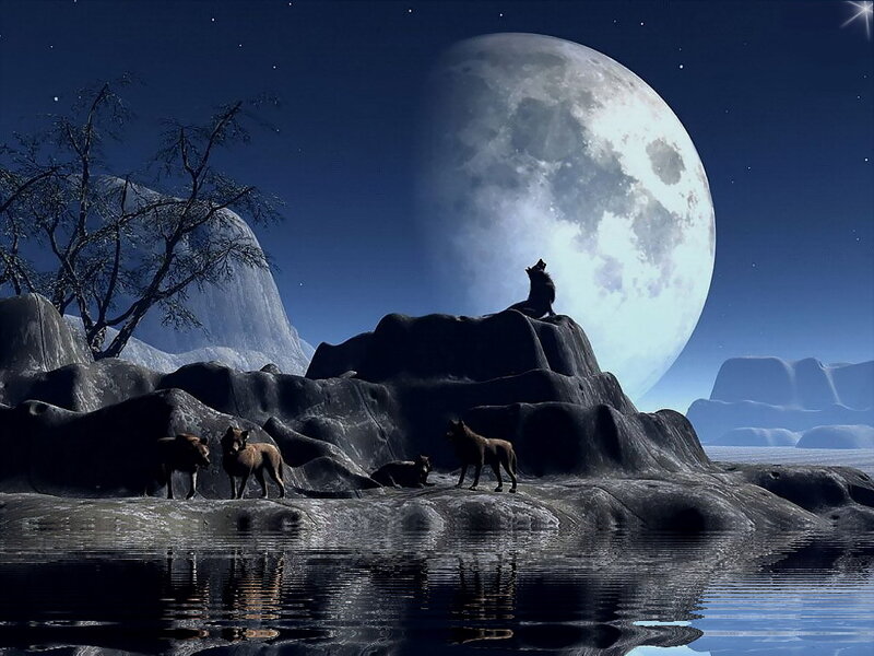 Wolves on a Rock — Blue