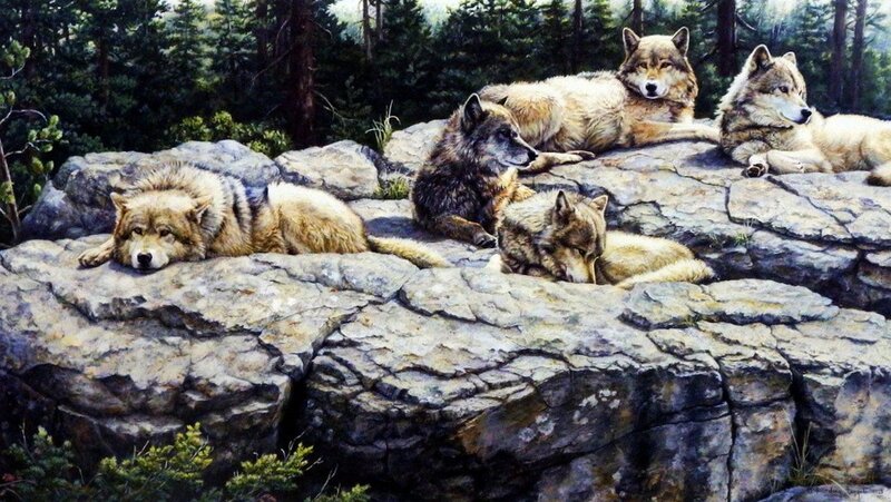 Wolves on a Rock — Gray