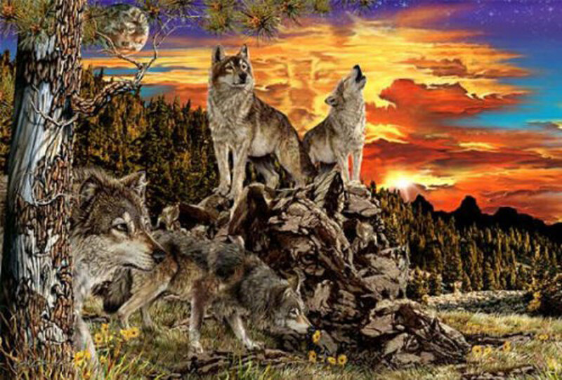 Wolves on a Rock — Orange, Dramatic