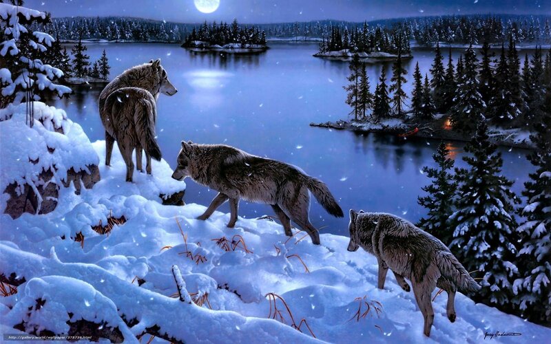 Wolves on Snowy Bank — Blue