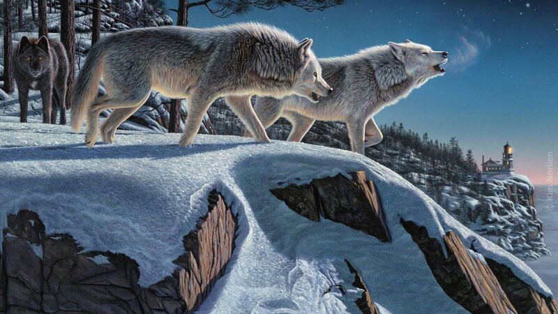 Wolves on Snowy Cliff — White, Dramatic