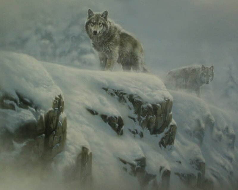 Wolves on Snowy Cliff — White, Dramatic, Winter