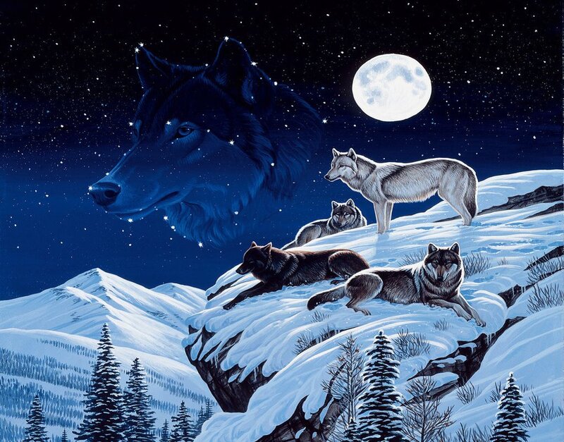 Wolves on Snowy Mountain — Blue, Serene