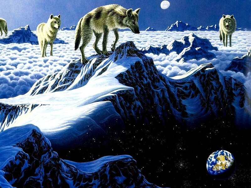 Wolves on Snowy Mountain — Blue