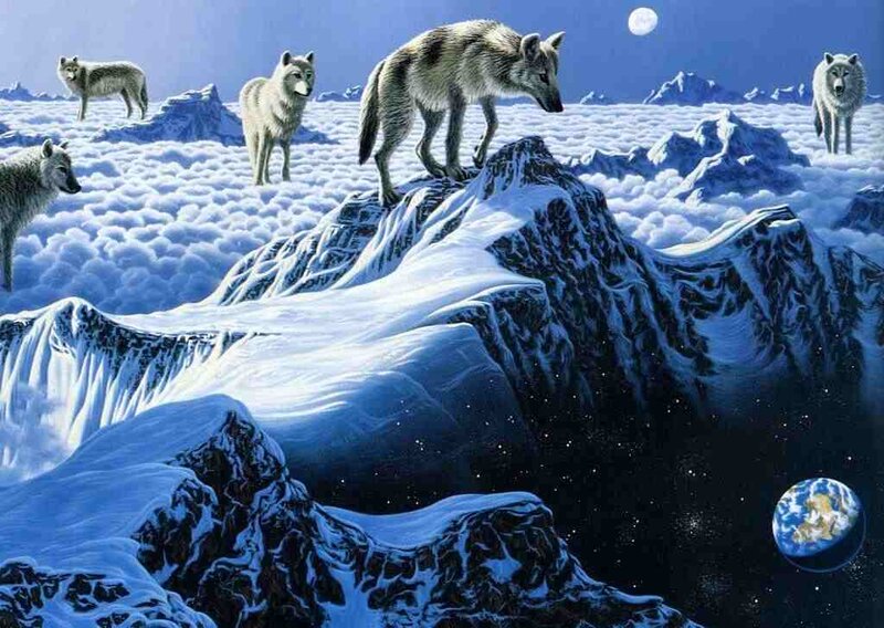 Wolves on Snowy Mountain