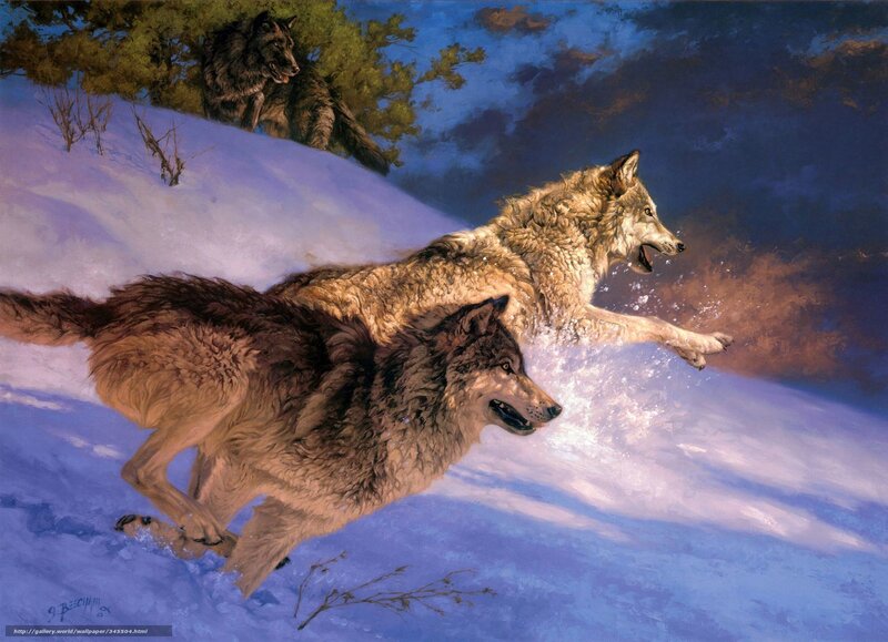 Wolves Running in Snow — Blue, Dramatic, Winter, Painting