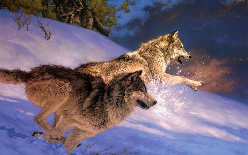 Wolves Running in Snow — Blue, Dramatic, Winter
