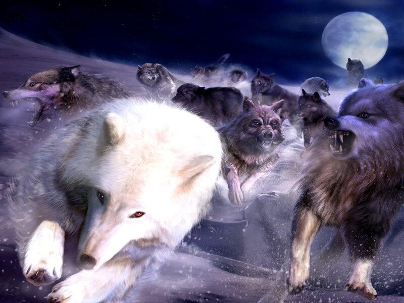 Wolves Running in Snow — White, Dramatic, Night, Digital Art, Moon