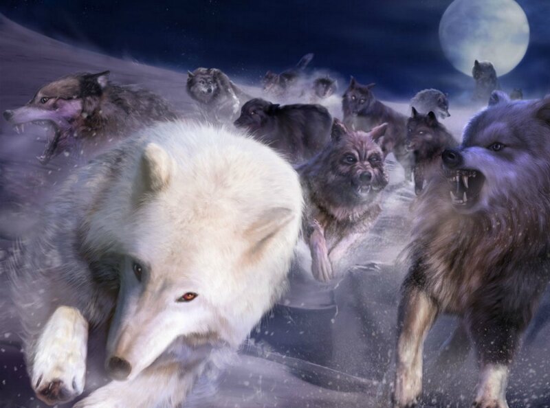 Wolves Running in Snow — White, Dramatic, Night, Digital Art