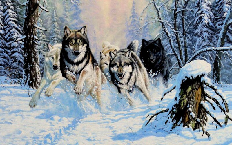 Wolves Running in Snow — White, Dynamic, Winter, Painting