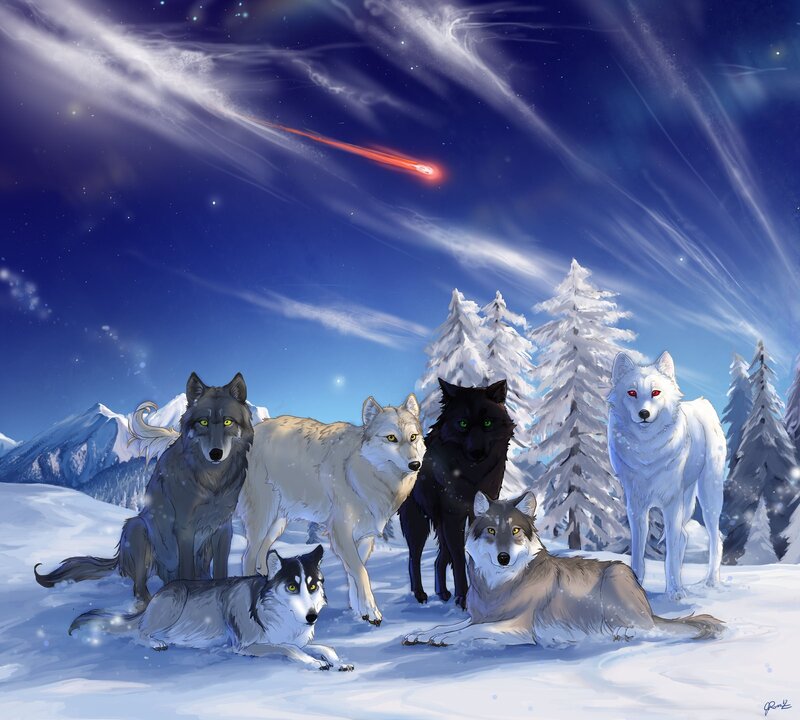 Wolves under a meteor shower