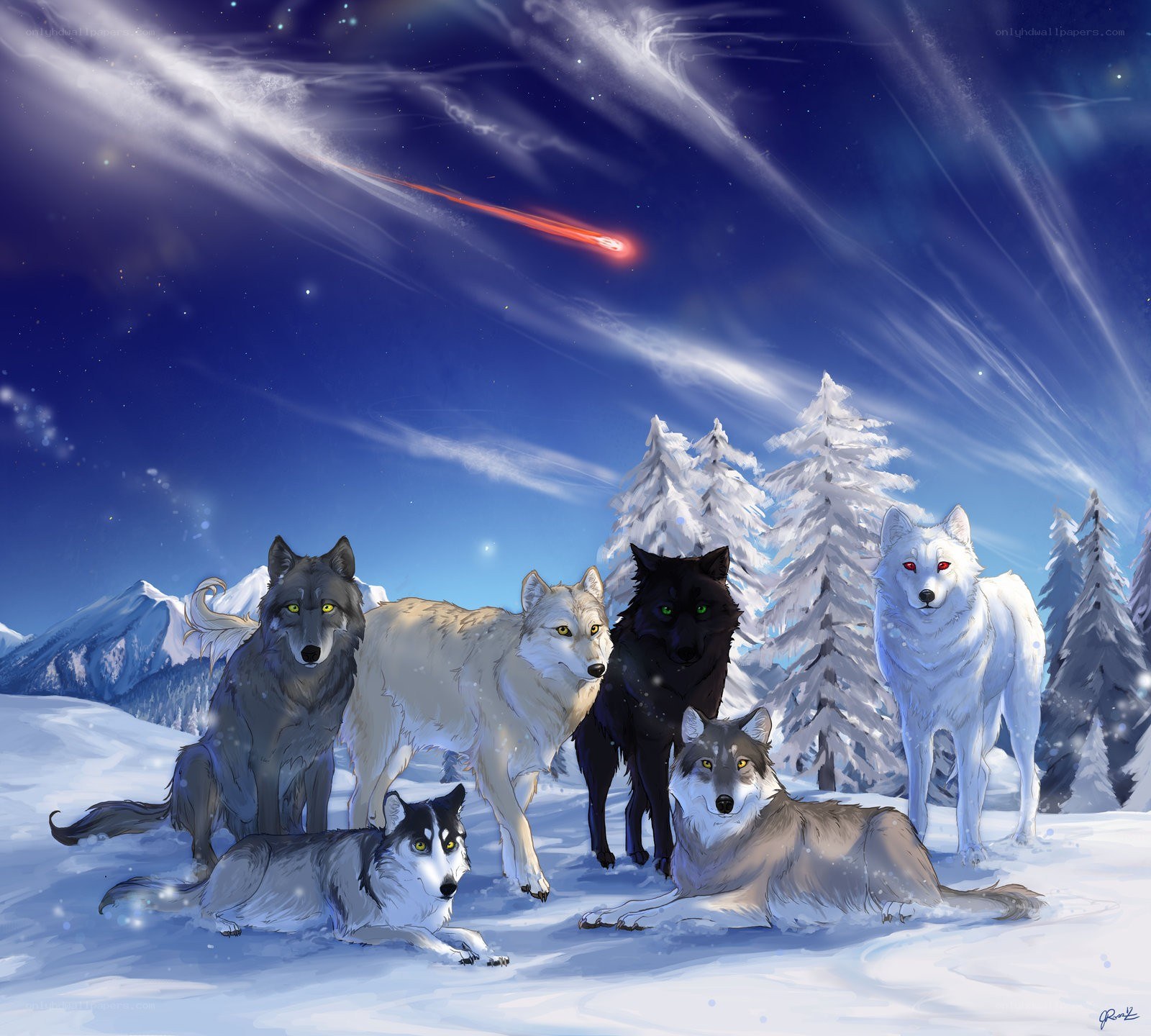 Wolves under a meteor shower