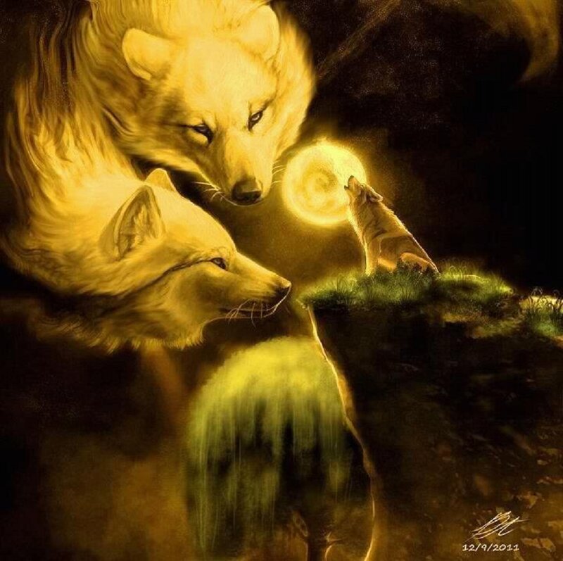 Wolves under Moonlight