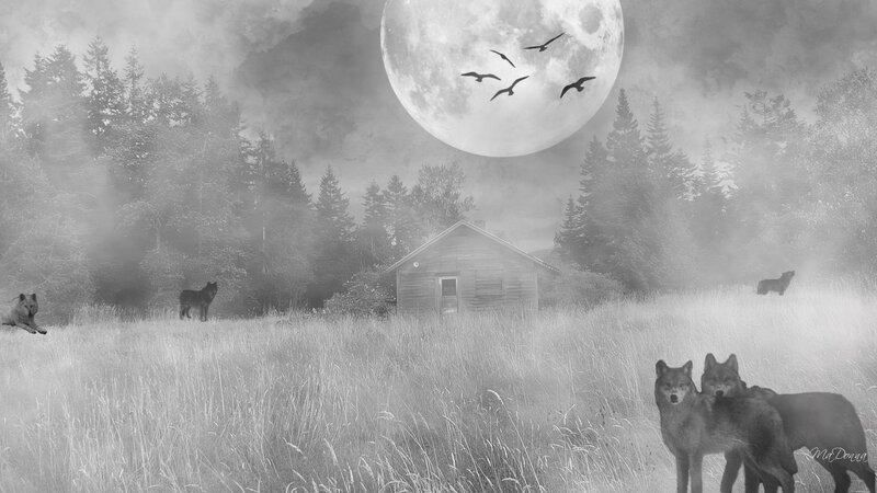 Wolves under the full moon