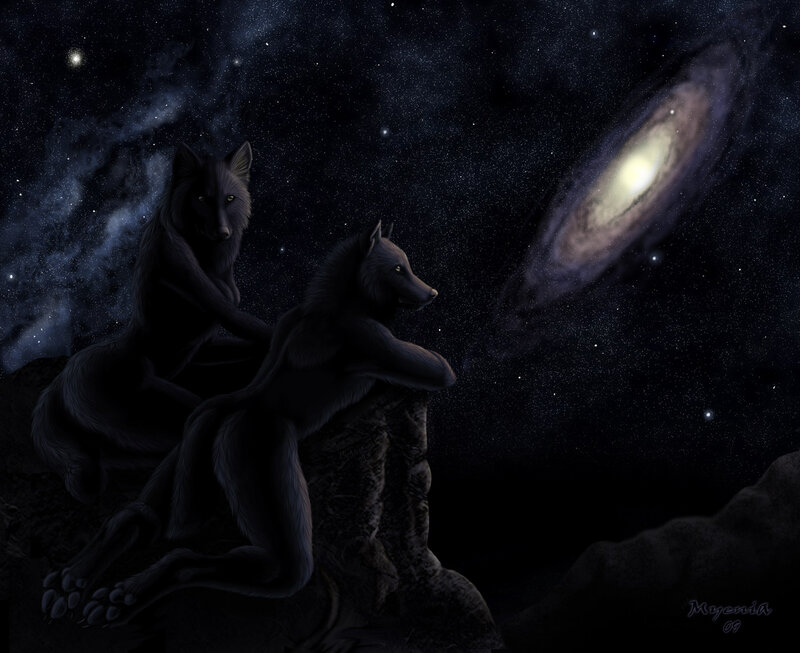Wolves under the galaxy