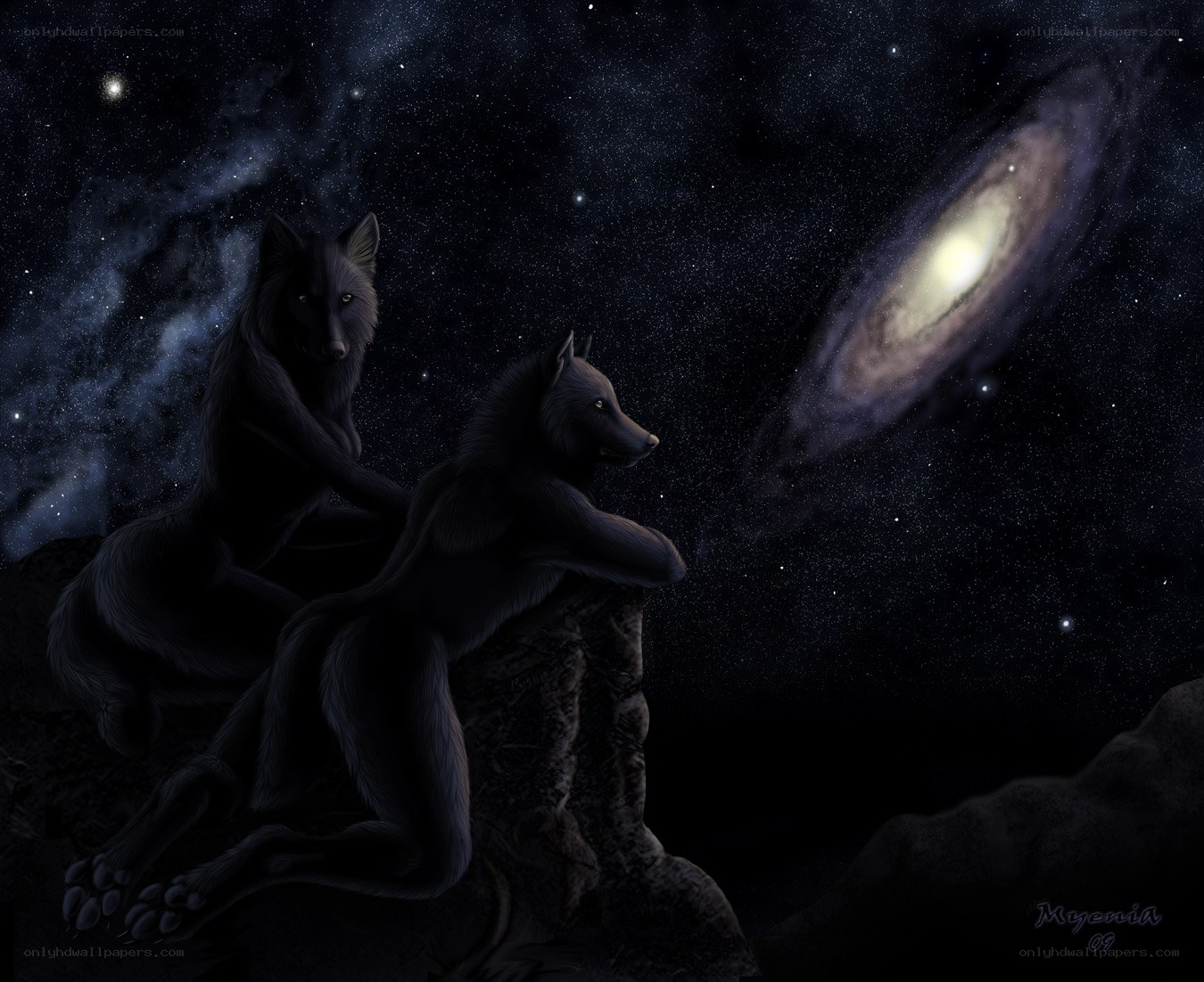 Wolves under the galaxy
