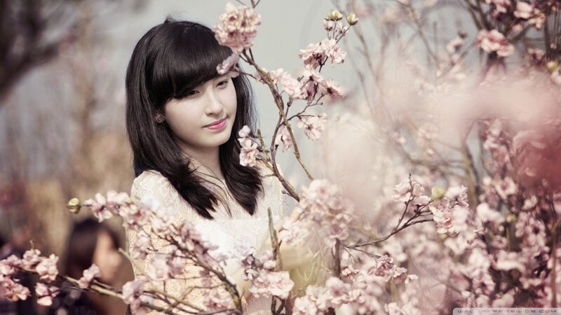 woman among cherry blossoms