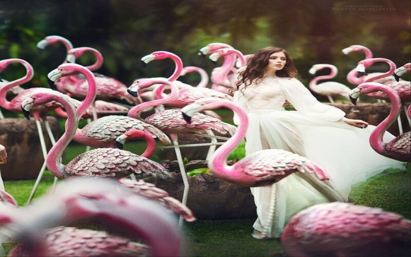 Woman Among Flamingos