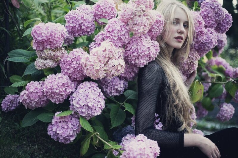 Woman Among Hydrangeas — Purple