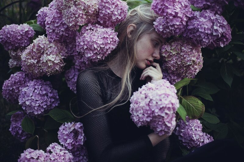 Woman Among Hydrangeas
