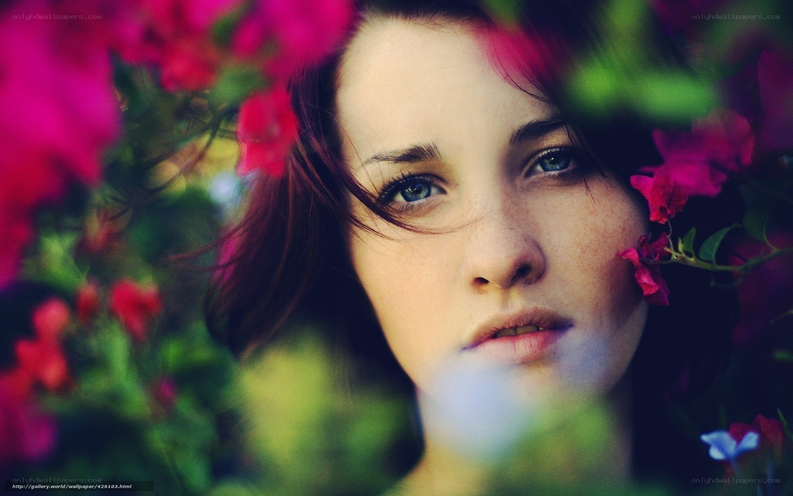 woman among pink flowers