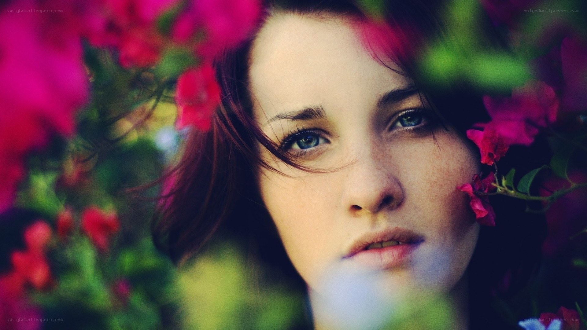 woman among pink flowers