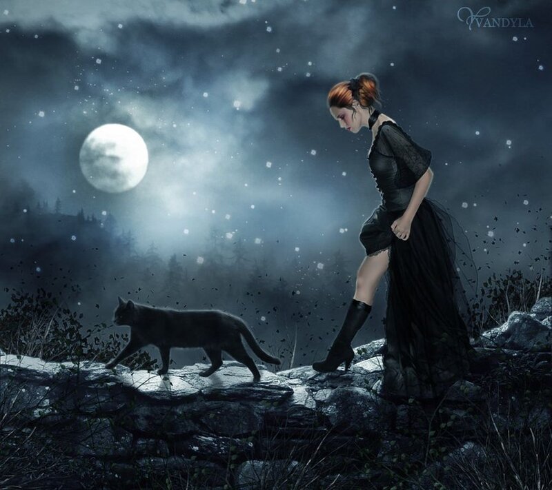 Woman and Cat at Night
