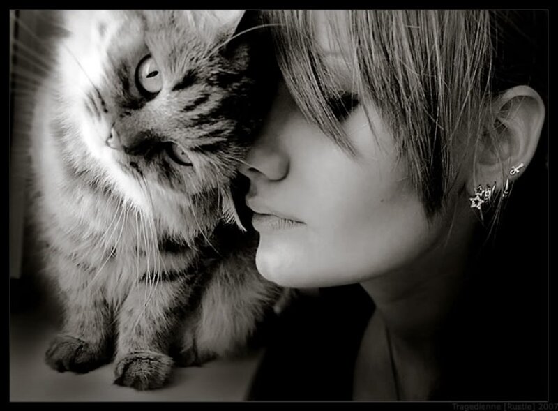 Woman and Cat — Black, Intimate
