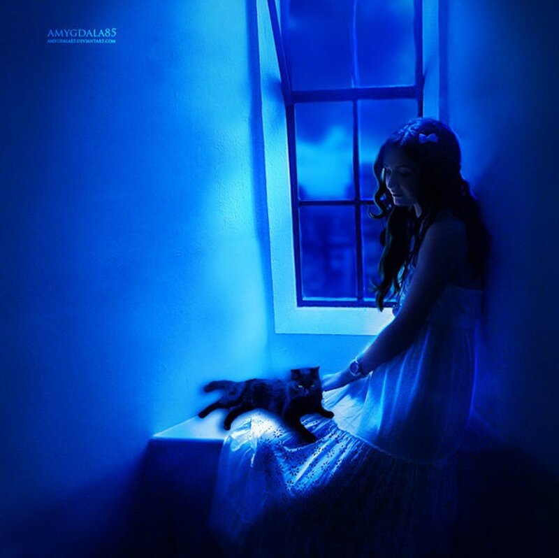 Woman and Cat by Window — Blue