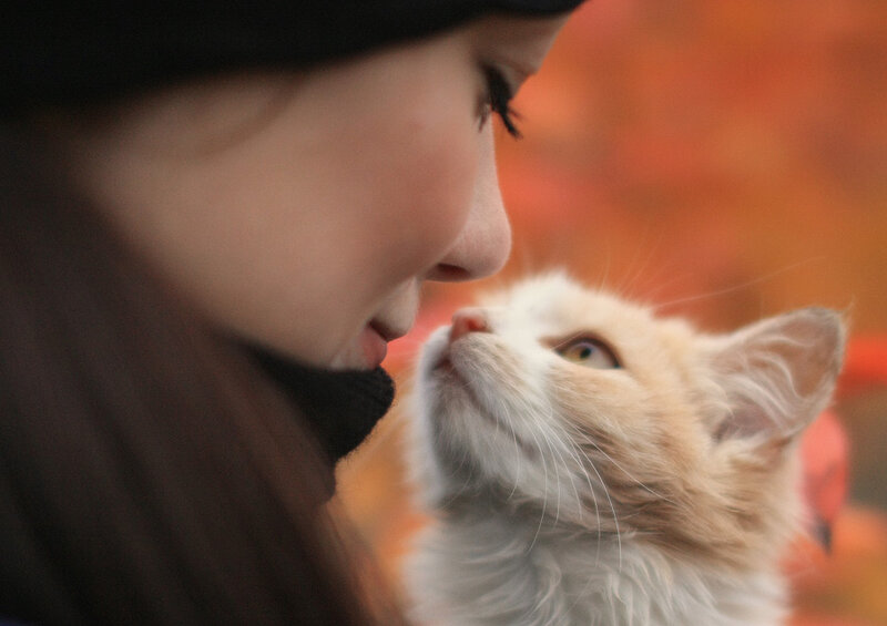 Woman and Cat Close-up