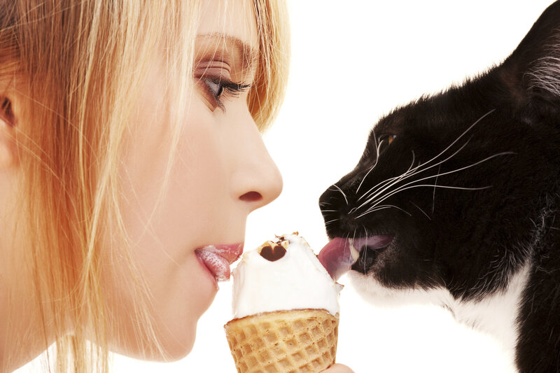 Woman and Cat Eating Ice Cream
