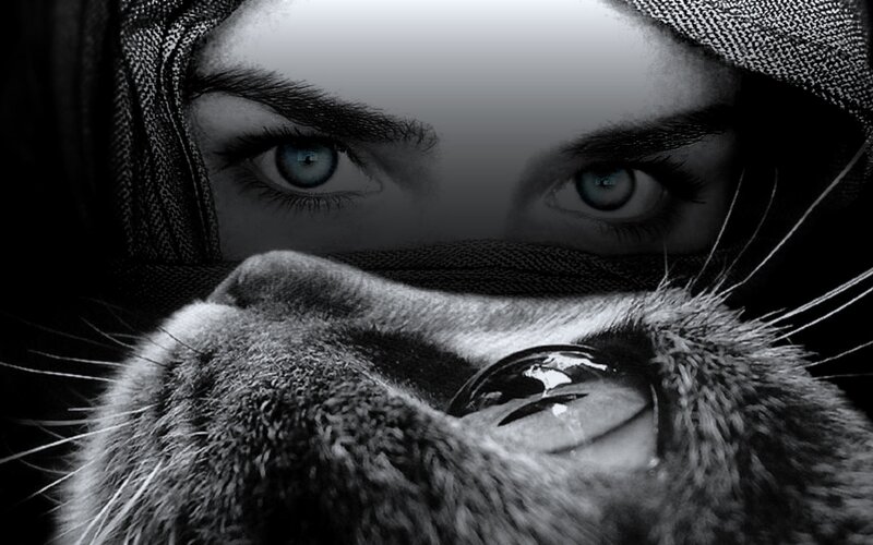 woman and cat eyes close-up