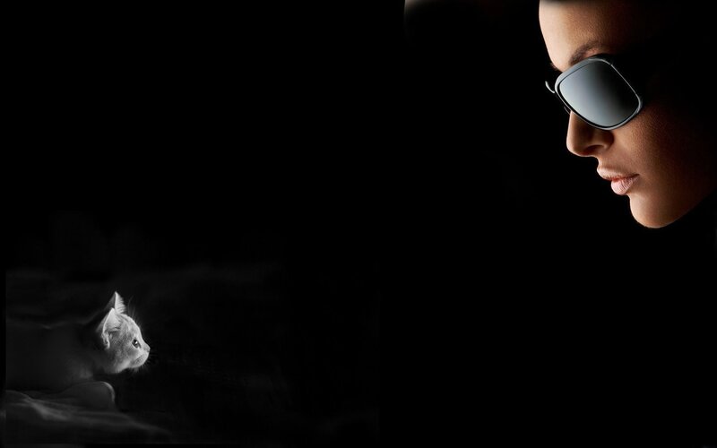 Woman and Cat in Darkness