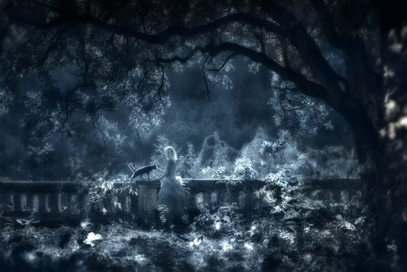 Woman and Cat in Garden