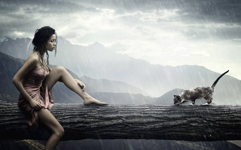 Woman and Cat in Rain — Gray, Dramatic