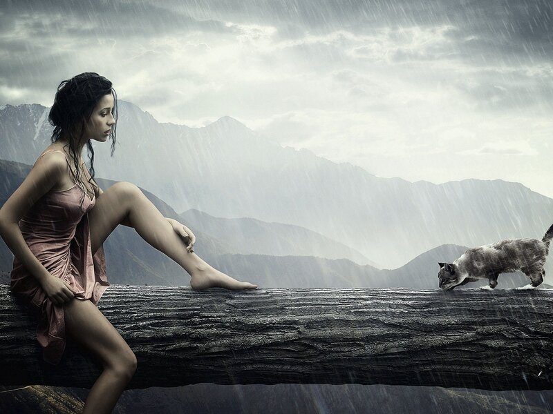 Woman and Cat in Rain — Gray