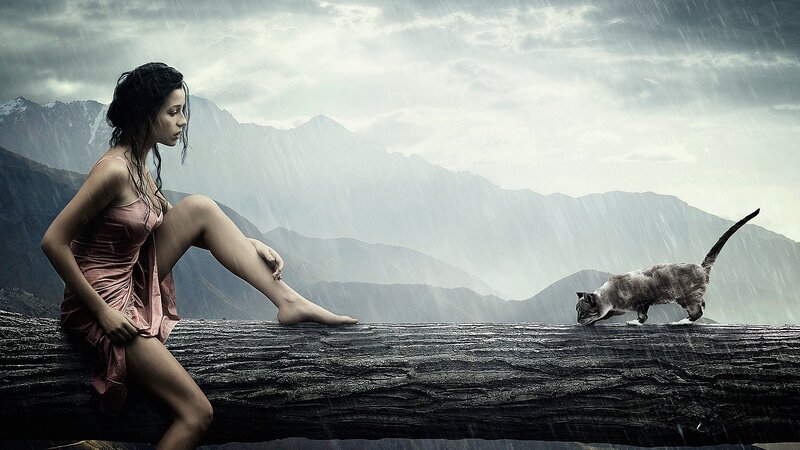 Woman and cat in the rain