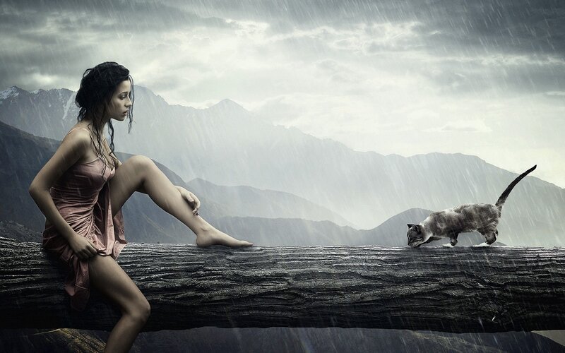 Woman and cat in the rain