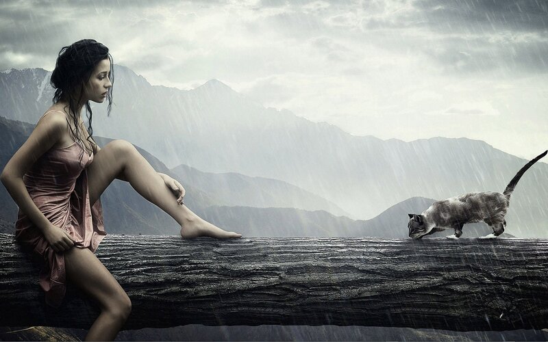 Woman and cat in the rain