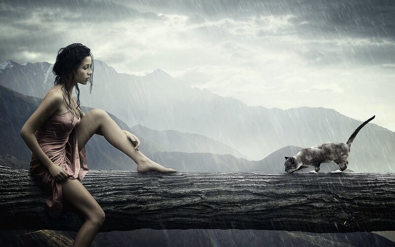 Woman and cat in the rain
