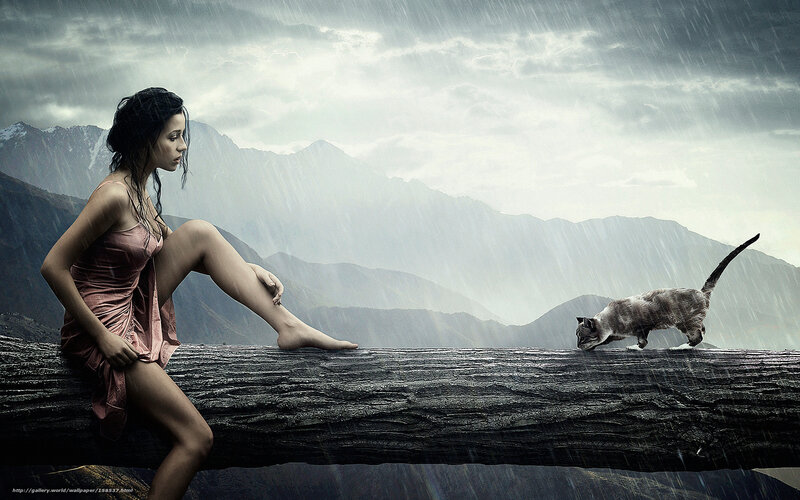 Woman and cat in the rain