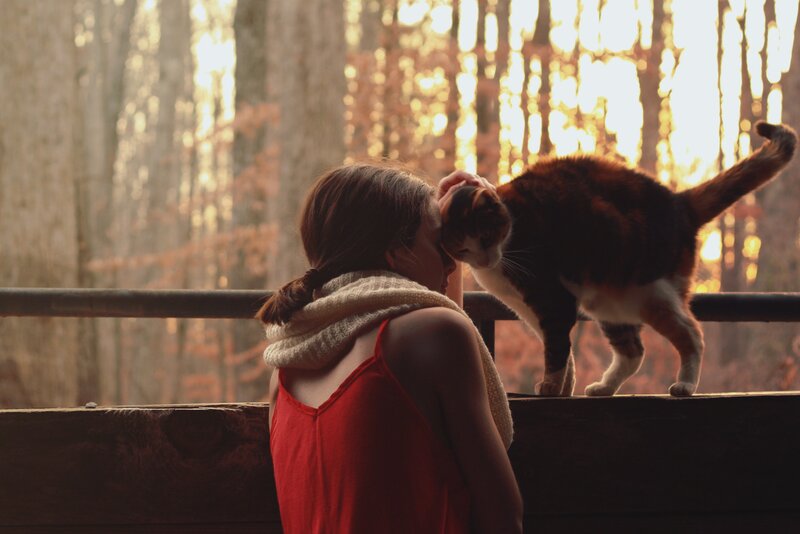 Woman and Cat on Balcony — Red, Serene