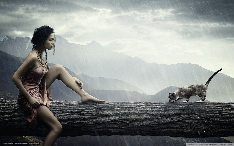 Woman and Cat on Log — Gray