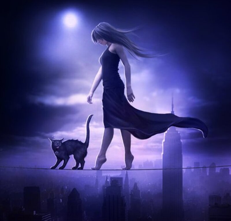 Woman and Cat on Wire