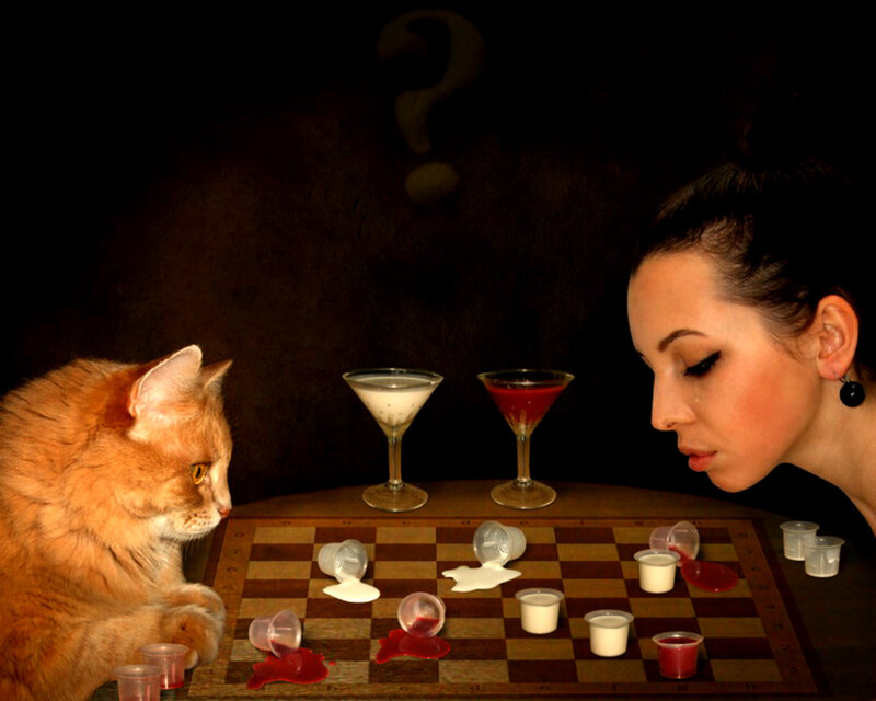 Woman and Cat Playing Chess