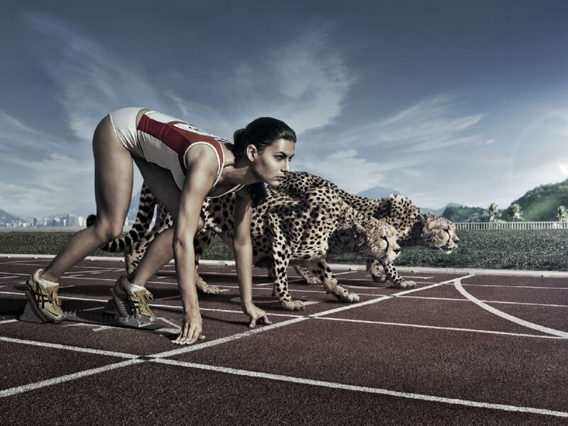 Woman and Cheetahs on Track — Brown, Dramatic, Afternoon, Photograph, Sky