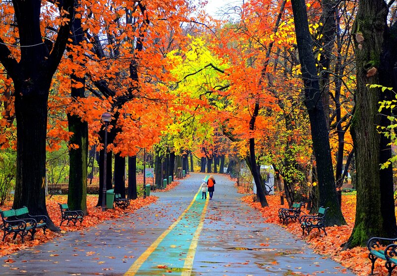 Woman and Child Walking — Orange