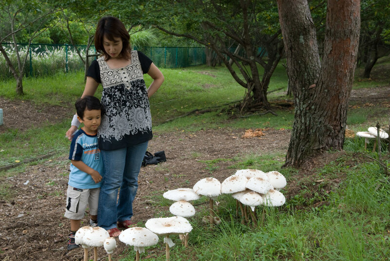 Woman and child with mushrooms