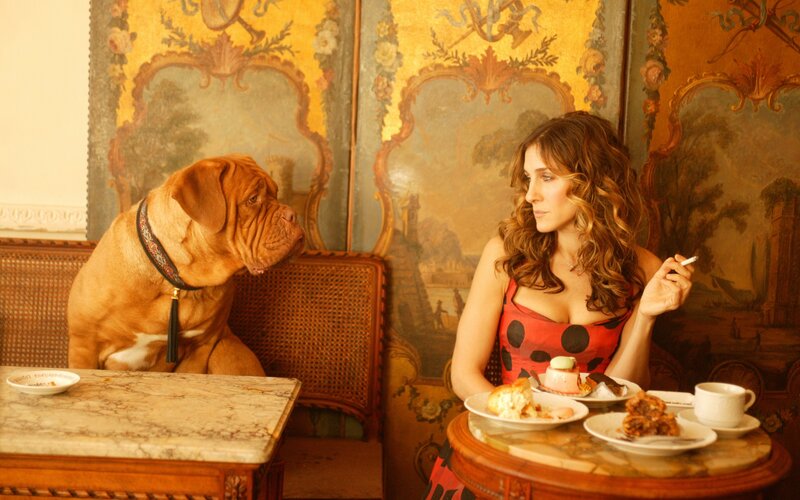 Woman and dog at a cafe